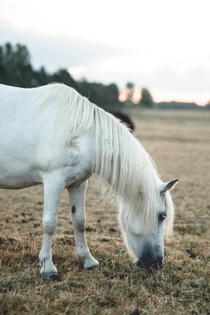 Week-end nature au Barn Week-end nature au Barn