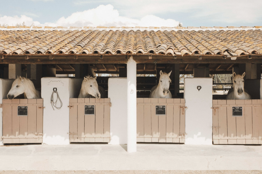 the stables of one of the most beautiful hotels where you can go horseback riding © les bains gardians