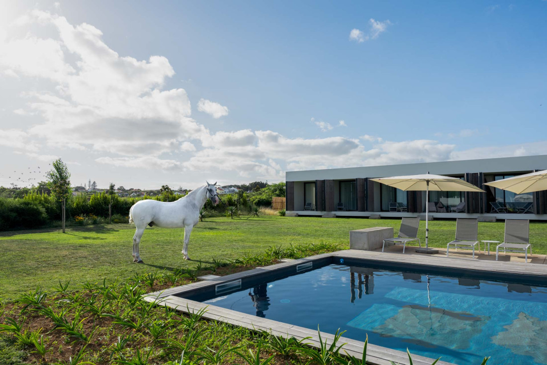 lusitano garden villas, the stables of one of the most beautiful hotels where you can go horseback riding