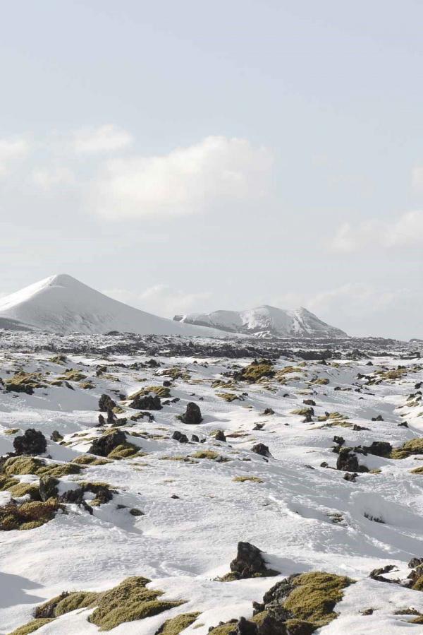 4 the retreat at blue lagoon landscape
